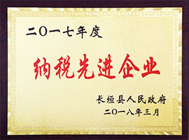 纳税先进企业